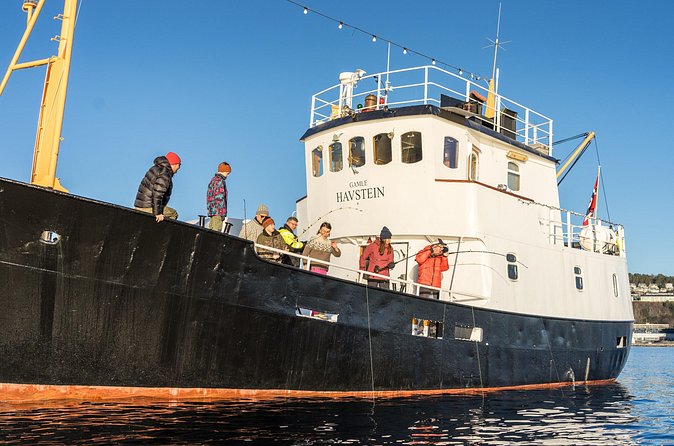 Fishing Trip in Alesund - A possible fresh catch at the end