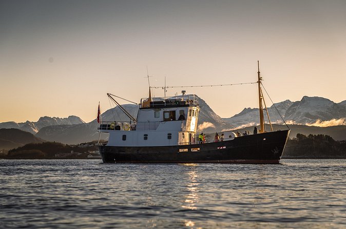 Fishing Trip in Alesund - Group size and the feel of the outing