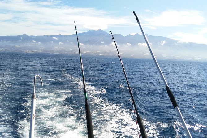 Fishing trip, Tenerife Sea Passion - Weather, postponements, and the practical risk