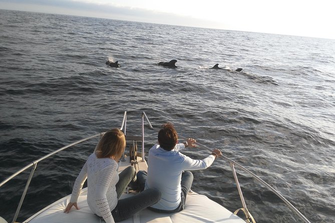 Fishing trip, Tenerife Sea Passion - Bottom fishing along Tenerife’s coast