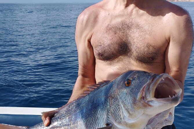 Fishing trip Torrevieja - Price and overall value at $168.41