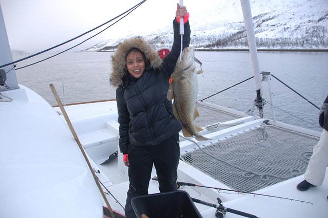 Fishing Trip with Luxury Catamaran in Tromso - The Tromsø scenery from the water