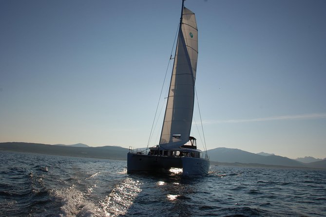Fishing Trip with Luxury Catamaran in Tromso - What the $241.75 price really covers