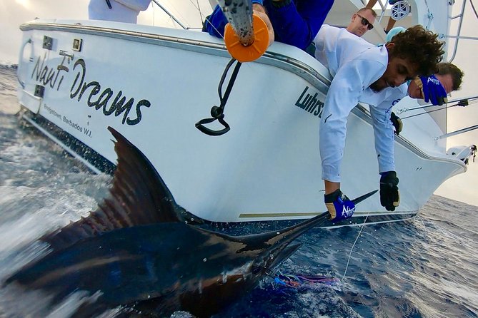 Fishing Trips in Barbados onboard Nauti Dreams Luxury Charters - Key points at a glance