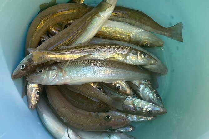 Fishing with Mt. Fuji Views and Japanese Home Cooking Experience - Returning to Arakawaya for the cooking session