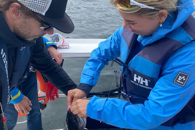 Fjord Sea Safari with Fishing from Bergen - Bergen seen from sea level