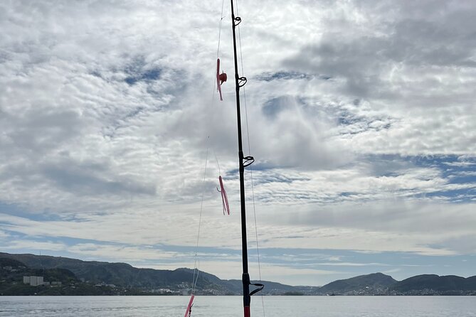 Fjord Sea Safari with Fishing from Bergen - Weather, comfort, and the practical details