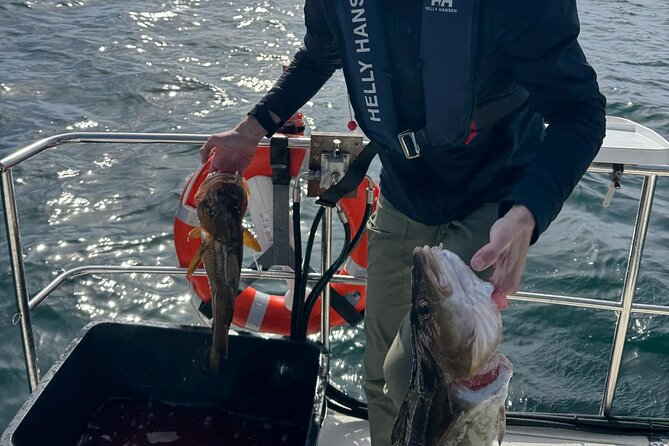 Fjord Sea Safari with Fishing from Bergen - What the three-hour outing feels like