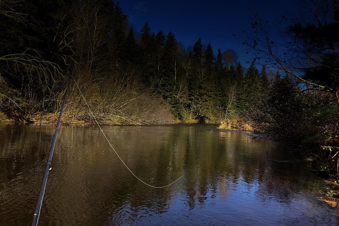 Fly Fishing Guided Experiences - Key Things to Know