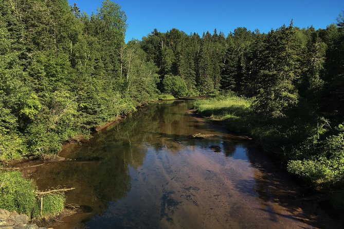Fly Fishing Guided Experiences - Following Craig to the Fishing Water