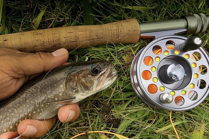Fly Fishing Guided Experiences - What You Fish For and What You Learn