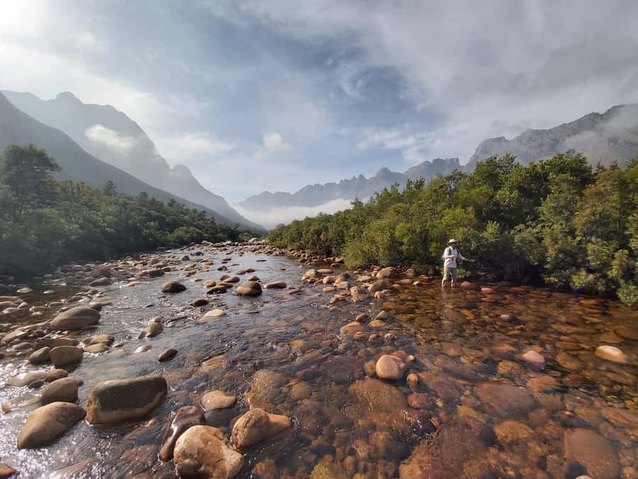 Fly Fishing in Cape Town - Four hours on clear Cape streams