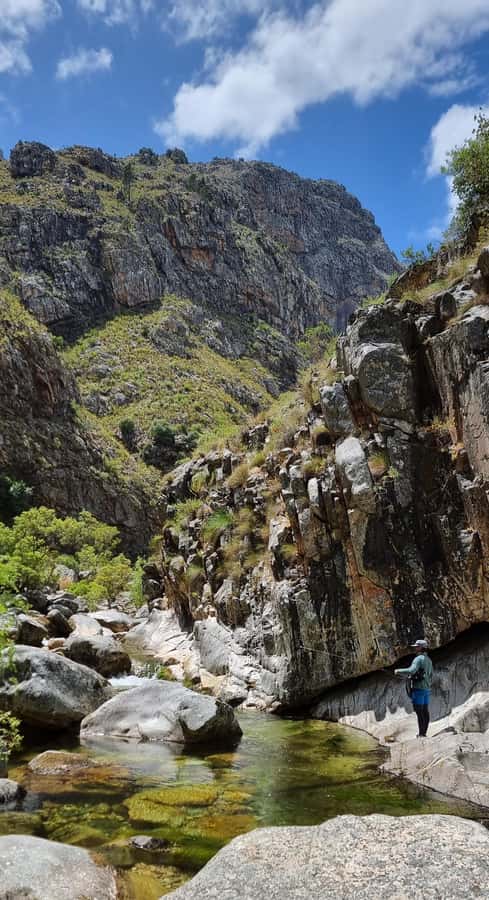 Fly Fishing in Cape Town - Conservation and responsible fishing
