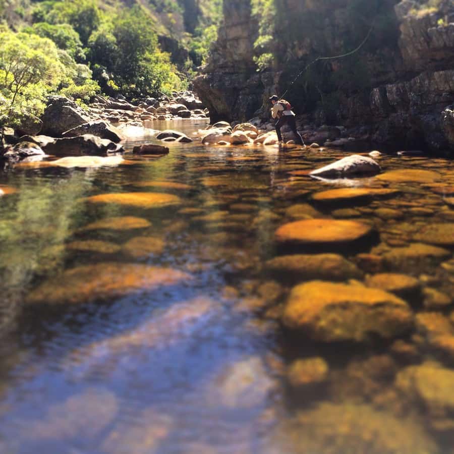Fly Fishing in Cape Town - Booking advice and cancellation flexibility
