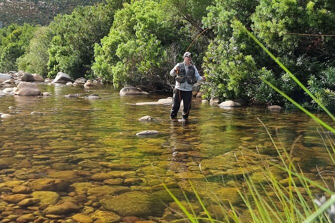 Fly Fishing in Cape Town for Five Hours - Saltwater estuary fishing near Cape Town