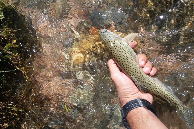 Fly Fishing on Private Andean River Including Barbecue Lunch - Valle de Uco and the road toward the high sierras