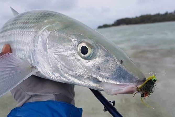 Fly Fishing Tour - Why Tobago Works for Saltwater Fly Fishing