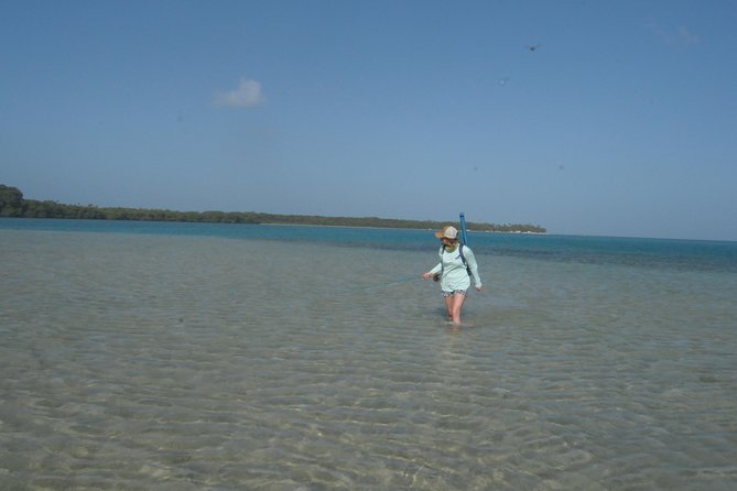 Fly Fishing Tour - Fish You Might Target