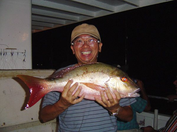 Fort Lauderdale: 4-Hour Deep Sea Drift Fishing Trip - What you might catch over Fort Lauderdale’s reefs
