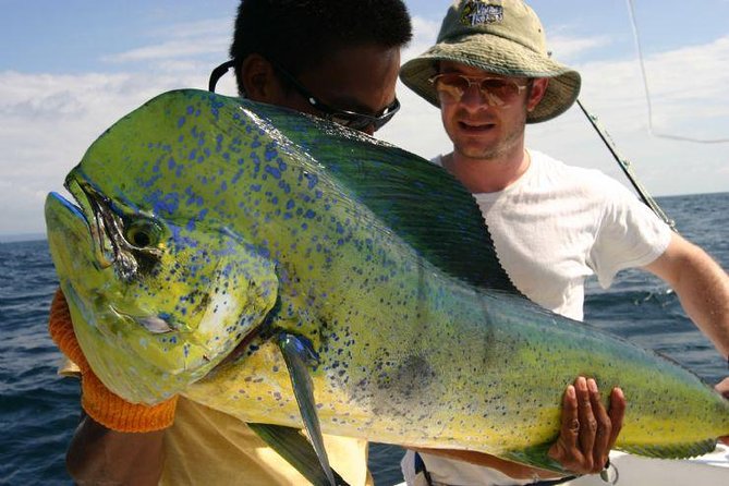 Fort Lauderdale Deep Sea Fishing Charters - Food, drinks, shade, and the restroom question