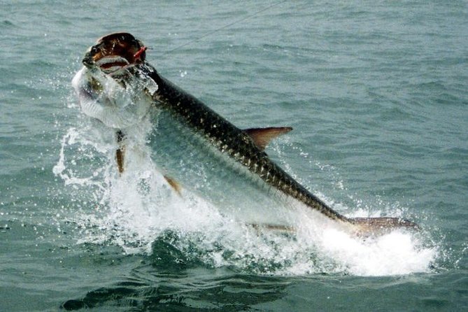 Fort Lauderdale Inshore Fishing Charters - Getting to Cox’s Landing Boat Ramp