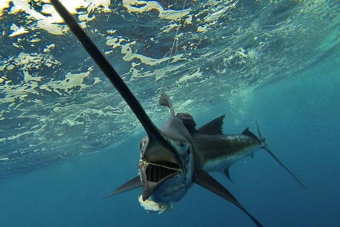 Four-Hour Fishing Tour in Dominica - Key things to know before booking