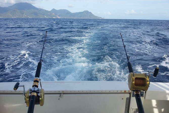 Four-Hour Fishing Tour in Dominica - Meeting at Roseau Museum and getting to the boat