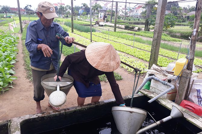 From AUTHENTIC FARMER'S LIFE to ECO RIVER FISHING EXPERIENCE - Cam Thanh’s coconut forest by basket boat