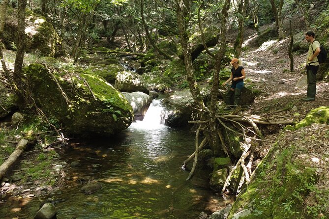 From Catania, Syracuse and Taormina: fly fishing experience - Reaching the Appennino Siculo from Catania, Syracuse, or Taormina