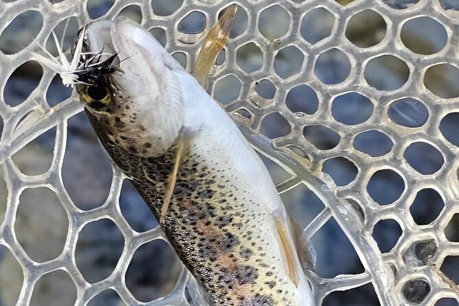 From Catania, Syracuse and Taormina: fly fishing experience - What the five-hour stop does not promise