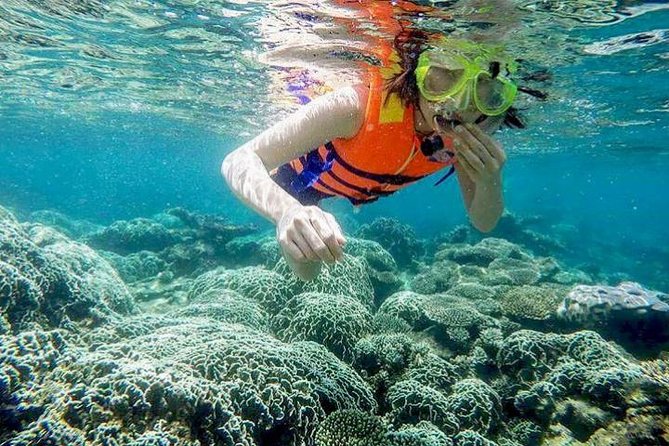 From Mui Ne To Vinh Hy Bay Snorkeling And Fishing Tour | Day Trip - Key points to know before booking