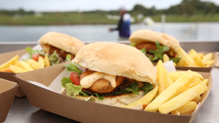 From Port Douglas: Barramundi Pond Fishing with Lunch - Key points to know before you book