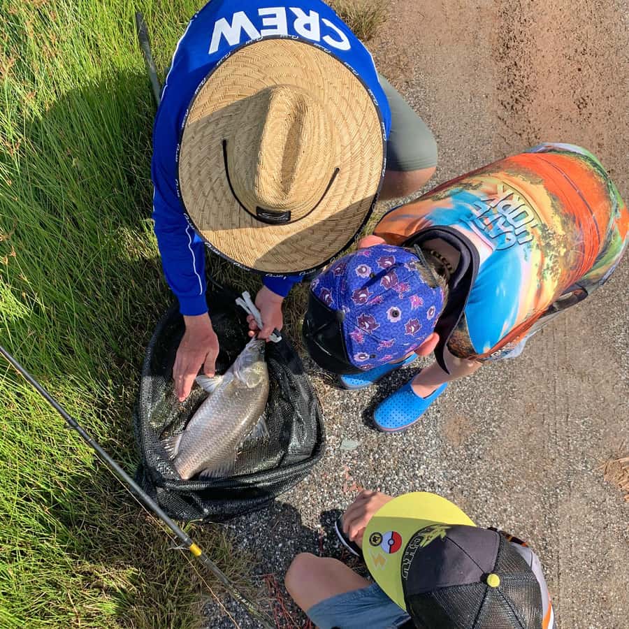 From Port Douglas: Barramundi Pond Fishing with Lunch - One hour of fishing, with real power on the line