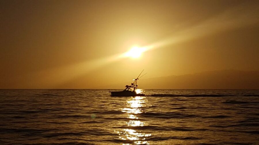 From Puerto Colón: Private Fishing Boat Charter with Lunch - Choosing between three hours and seven