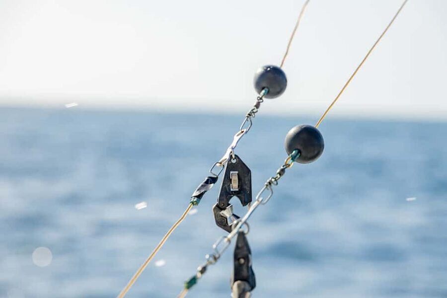From Punta Cana: Deep Sea Fishing Tour by Boat with Drinks - From your Punta Cana hotel to the open water