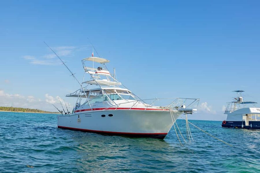 From Punta Cana: Deep Sea Fishing Tour by Boat with Drinks - What you might catch off Punta Cana