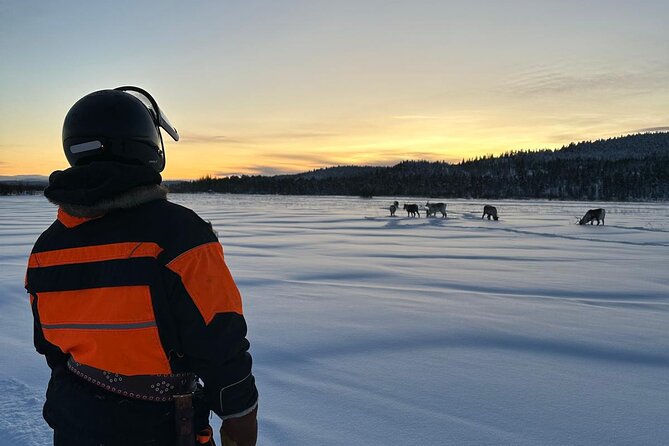 From Saariselkä: Ice Fishing Tour to Lake Inari, reindeers &lunch - Who will enjoy this Lake Inari outing