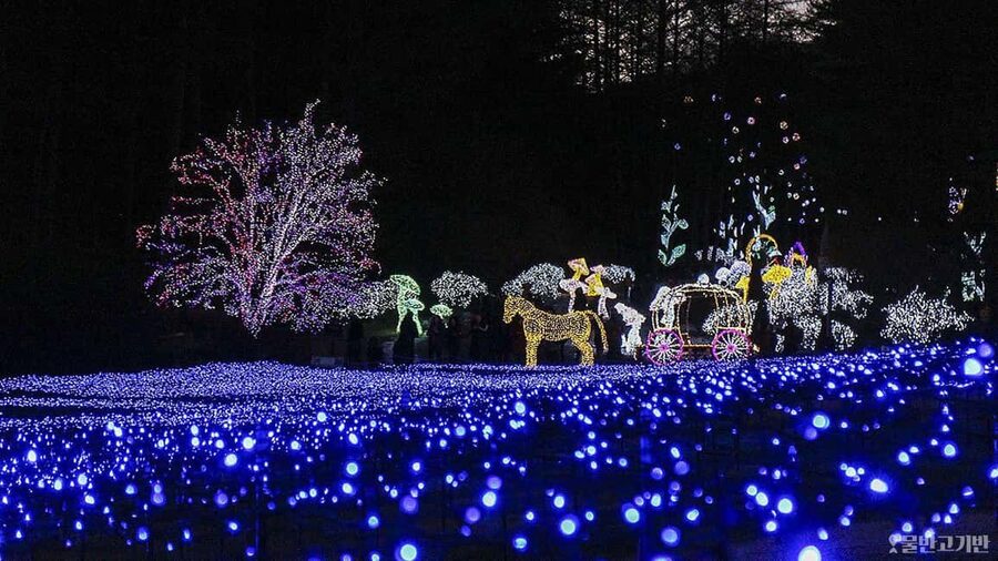 From Seoul: Hwacheon Ice Fishing and Lighting Festival Tour - Key points at a glance