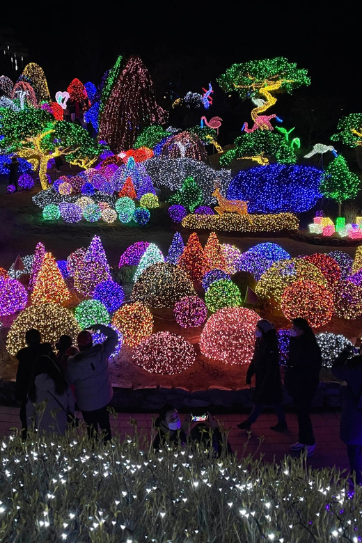From Seoul: Hwacheon Ice Fishing and Lighting Festival Tour - Practical tips for a smoother winter day