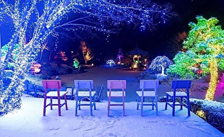 From Seoul: Hwacheon Ice Fishing and Lighting Festival Tour - Why this winter pairing works