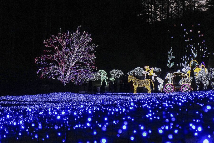 From Seoul: Hwacheon Ice Fishing and Lighting Festival Tour - Is $67 good value?