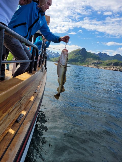 From Svolvaer: Lofoten Fishing Boat Cruise - Setting out from Svolvær’s working harbor