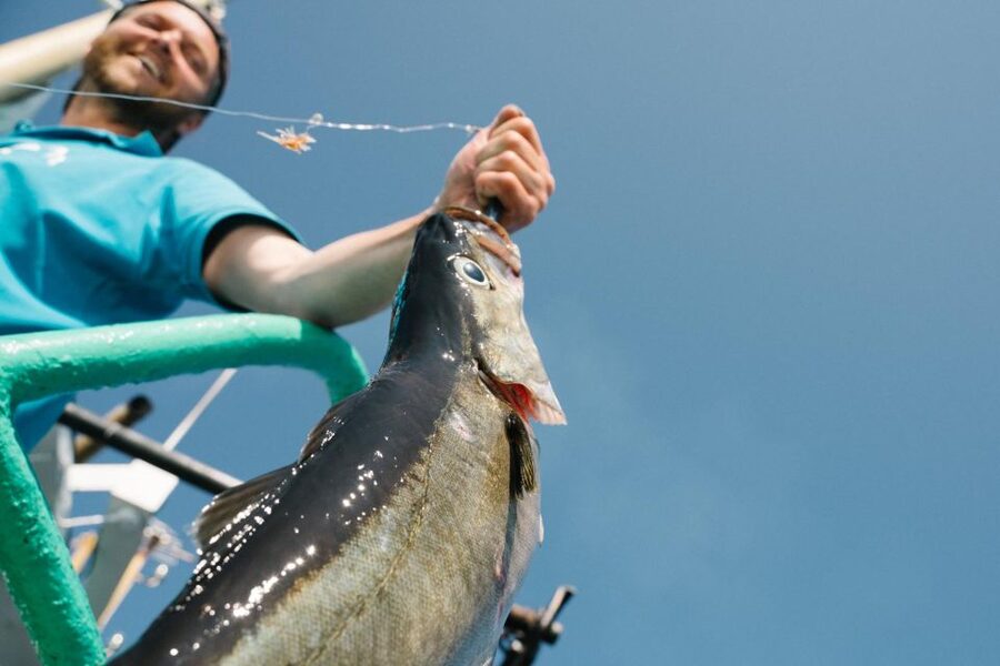 From Svolvaer: Lofoten Fishing Boat Cruise - Fishing for cod, pollock, haddock, and luck