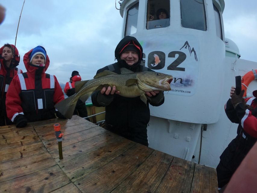 From Svolvaer: Lofoten Fishing Boat Cruise - Is $135 a fair price?