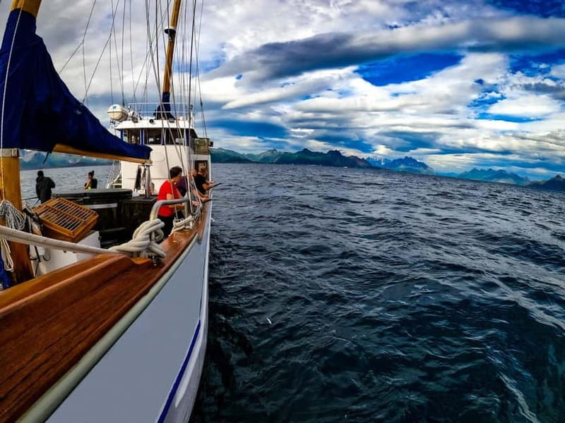 From Svolvær: Taste of Lofoten - Cultural Fishing Experience - Key points to know before booking