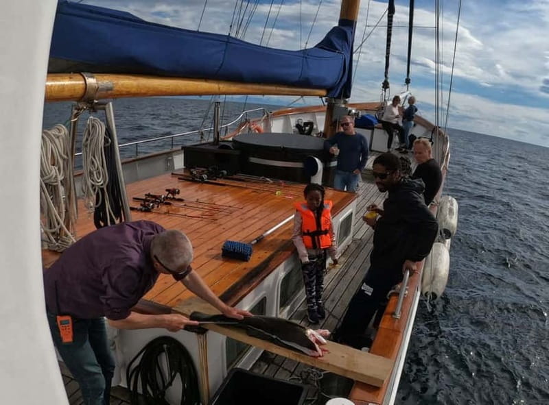 From Svolvær: Taste of Lofoten - Cultural Fishing Experience - Starting beside Stella Oceana in Svolvær
