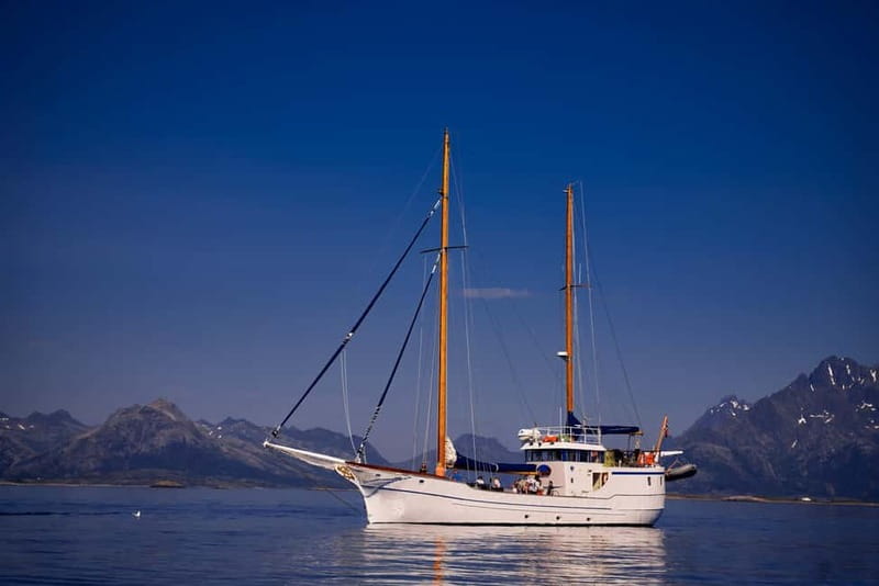 From Svolvær: Taste of Lofoten - Cultural Fishing Experience - Is $245 a fair price?