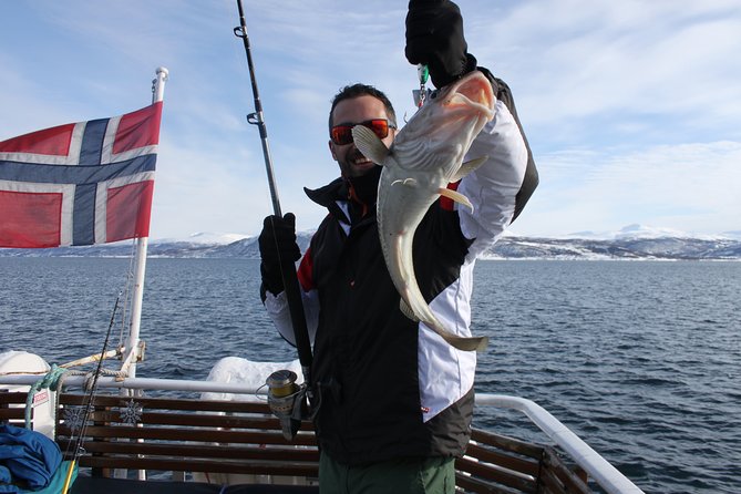 From Tromsø: Polar Fishing Adventure - At a glance: what makes this fishing trip different