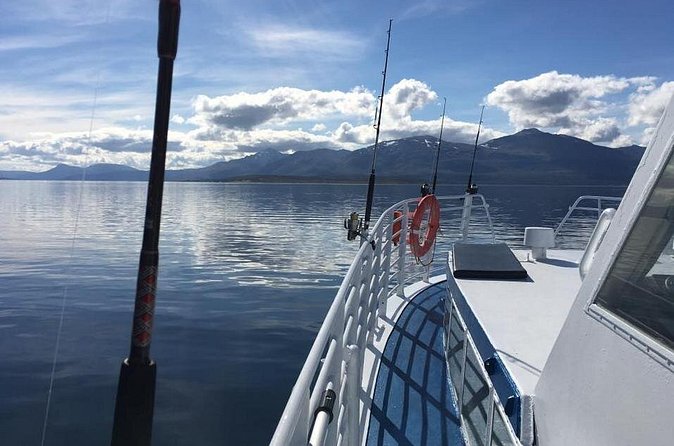 From Tromsø: Polar Fishing Adventure - Group size, crew, and the feel on board