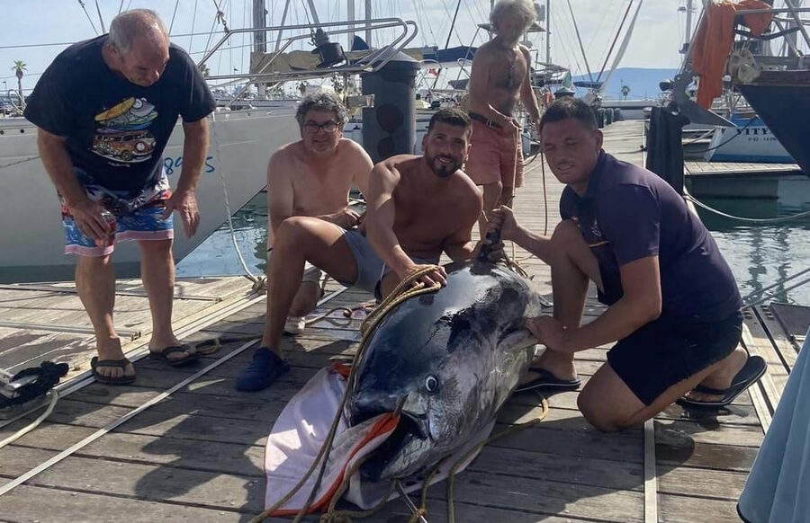 Fuengirola: 4h Trolling Fishing Trip with Snacks and Drinks - Four hours among tuna, bonito, mackerel, and dorado